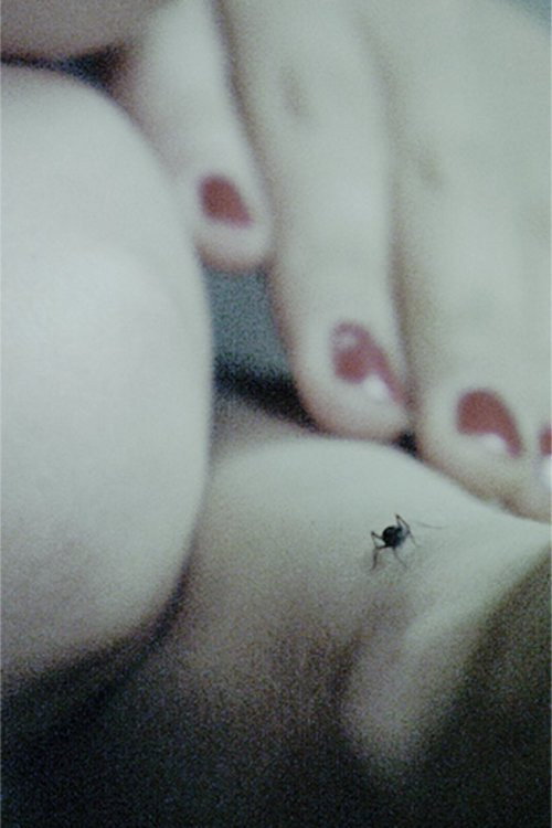 Movie poster for Afterglow (2008)