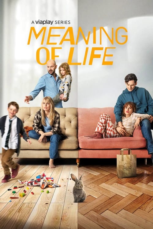 Meaning of Life poster