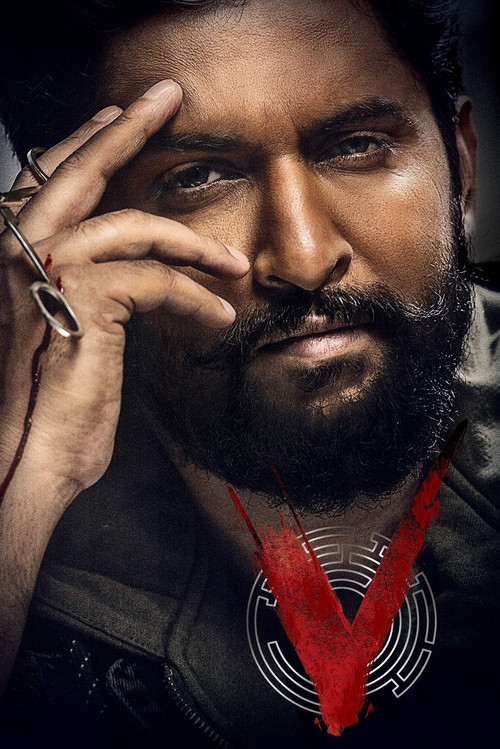Movie poster for V (2020)