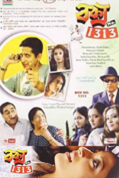 Movie poster for Box No. 1313 (2009)
