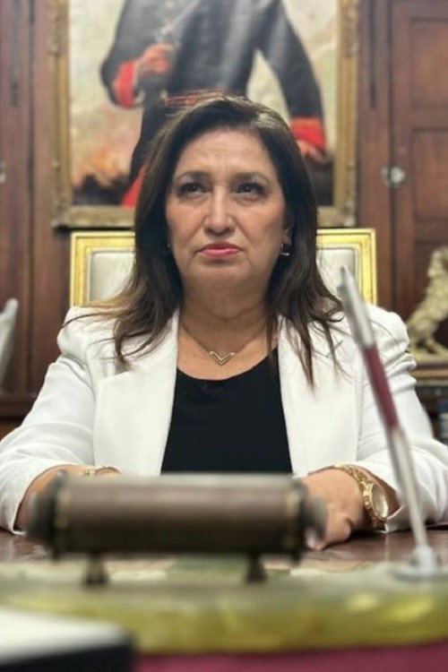 Series poster for Los Waykis (2024)