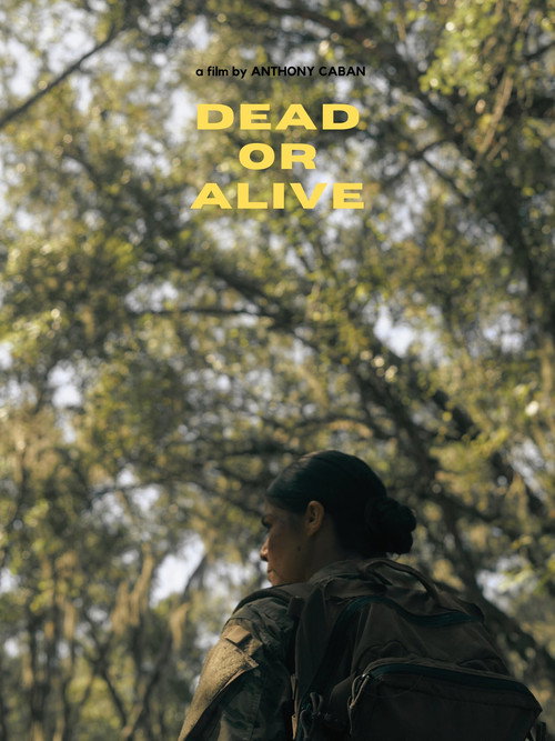 Movie poster for Dead or Alive