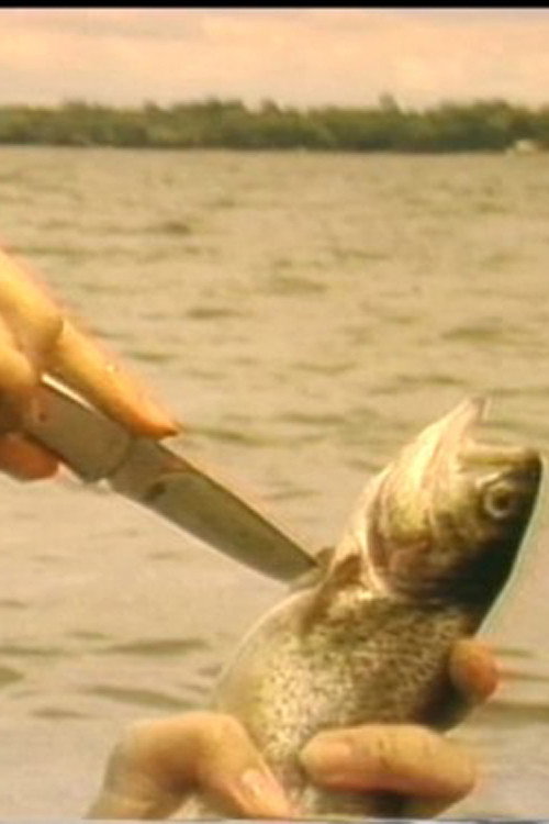 Movie poster for The Myth of the Fishes (1985)