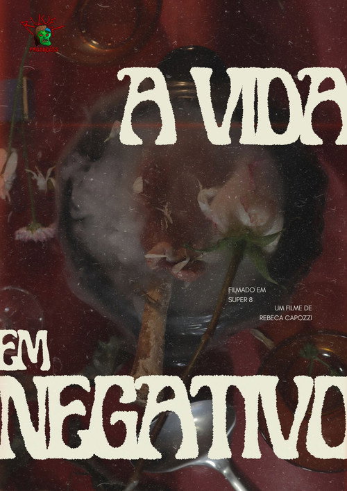 Movie poster for A Vida em Negativo