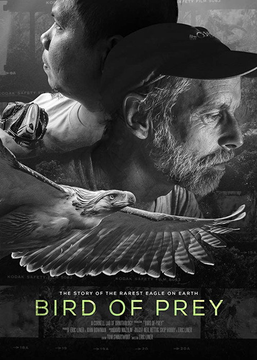 Movie poster for Bird of Prey (2018)