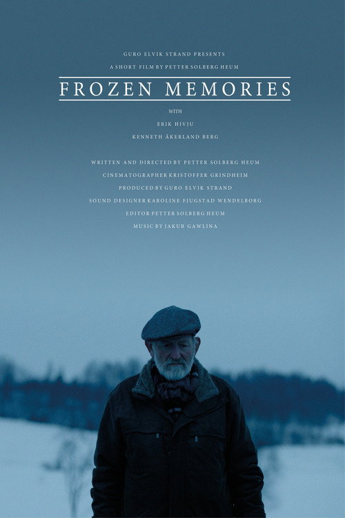 Movie poster for Frozen Memories (2018)