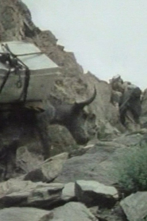Movie poster for The Kirghiz of Afghanistan (1975)
