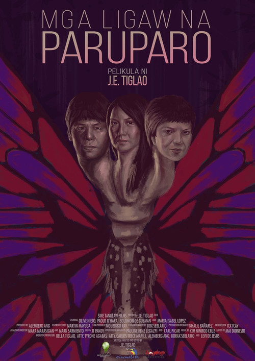 Movie poster for Wandering Butterflies (2014)