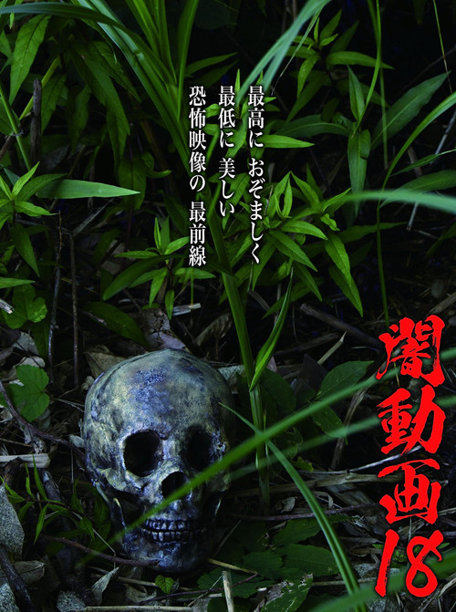 Movie poster for Tokyo Videos of Horror 18 (2018)