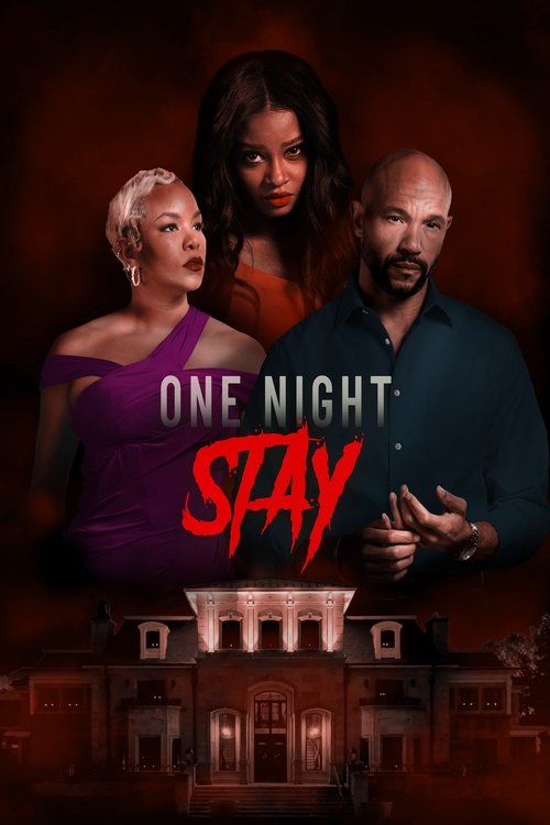 Movie poster for One Night Stay (2024)