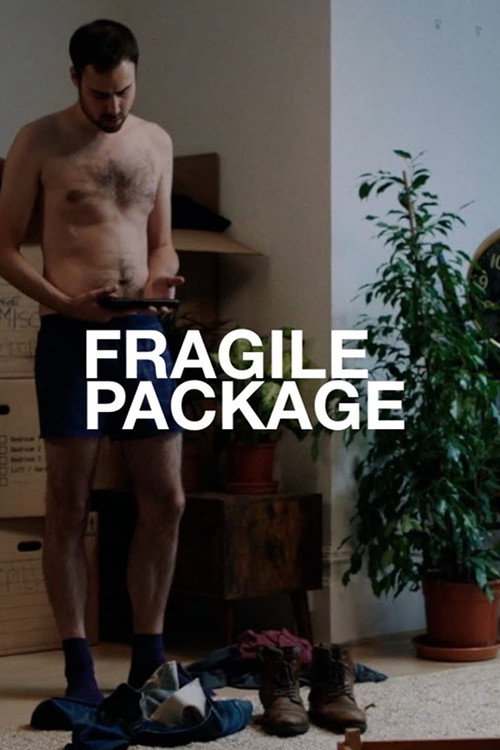 Movie poster for Fragile Package (2021)