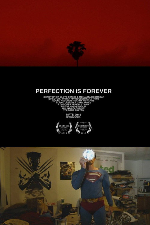 Movie poster for Perfection Is Forever (2015)
