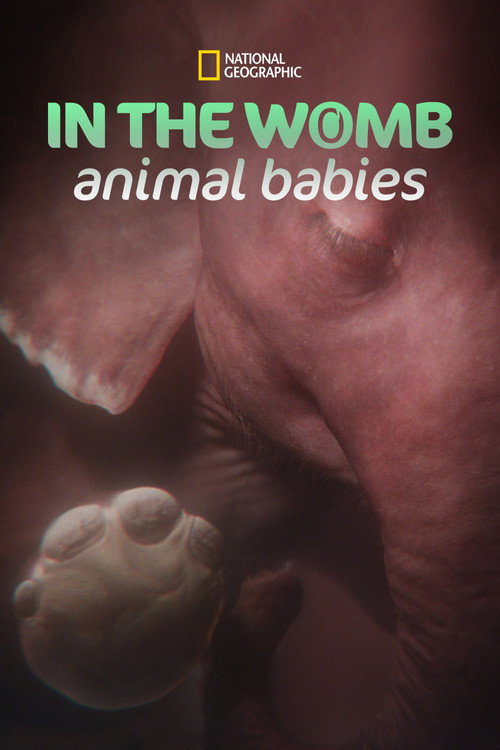 Series poster for In the Womb: Animal Babies (2022)