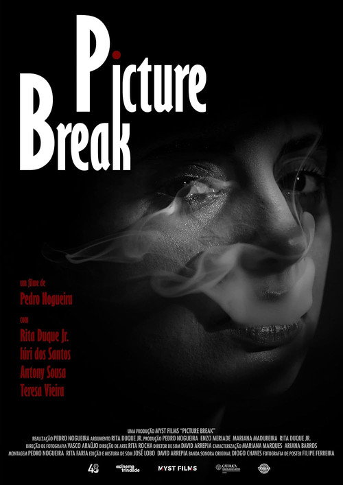 Movie poster for Picture Break (2024)