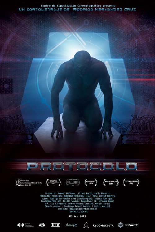 Movie poster for Protocol (2013)