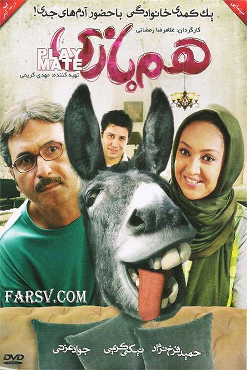 Movie poster for The Playfellow (2006)
