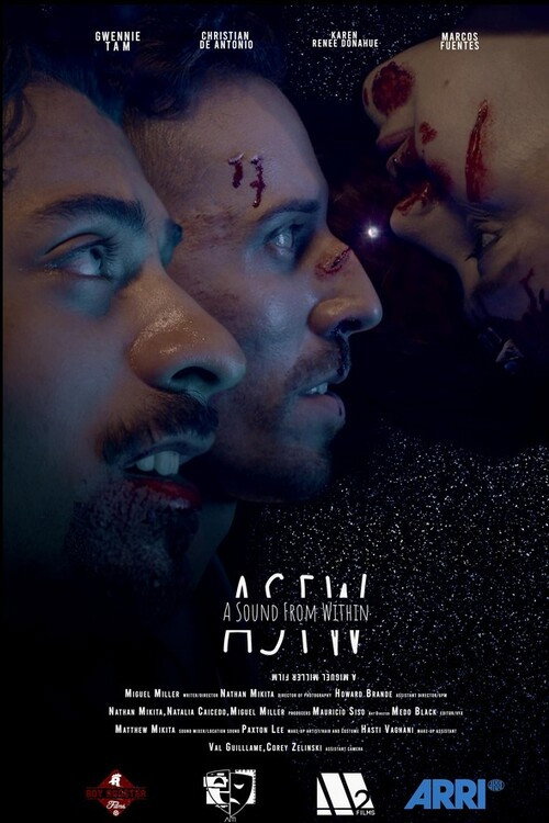 Movie poster for A Sound from Within