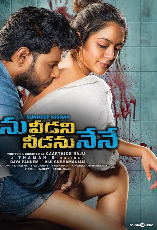 Movie poster for Ninu Veedani Needanu Nene (2019)