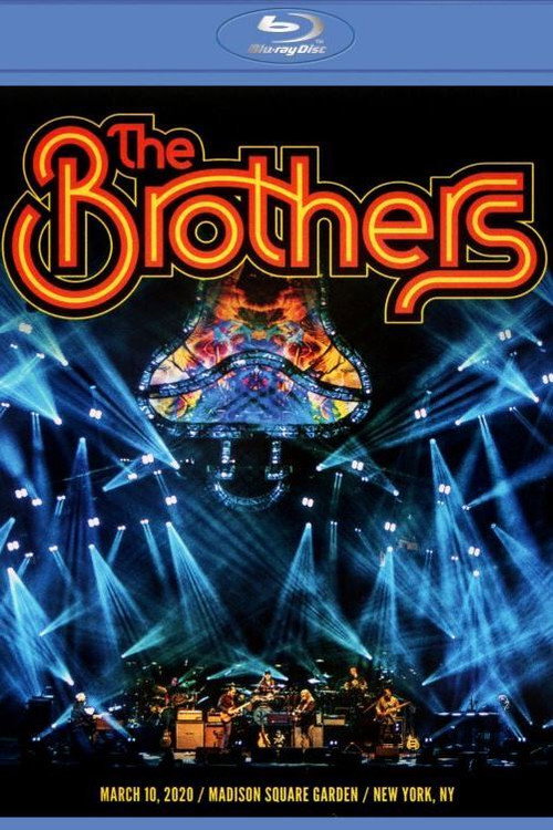 Movie poster for The Brothers (2021)