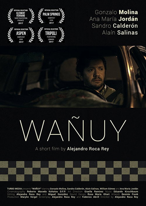 Movie poster for Wañuy (2017)