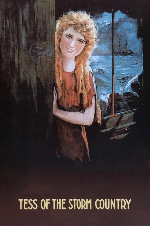 Movie poster for Tess of the Storm Country (1914)