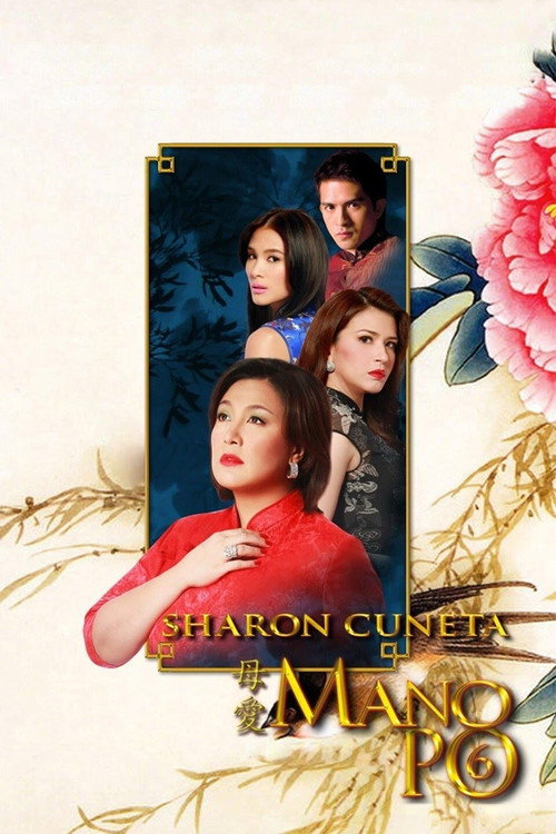 Movie poster for Mano Po 6: A Mother's Love (2009)