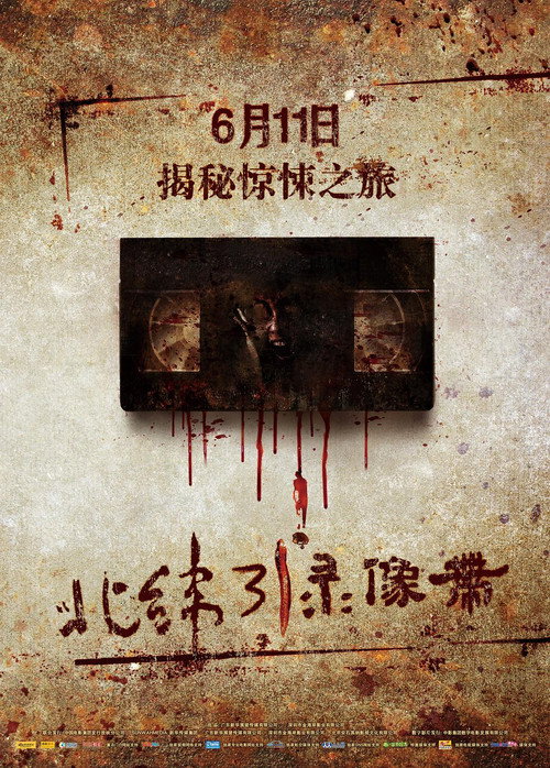 Movie poster for Video Cassette of 31 Degrees North Latitude (2010)