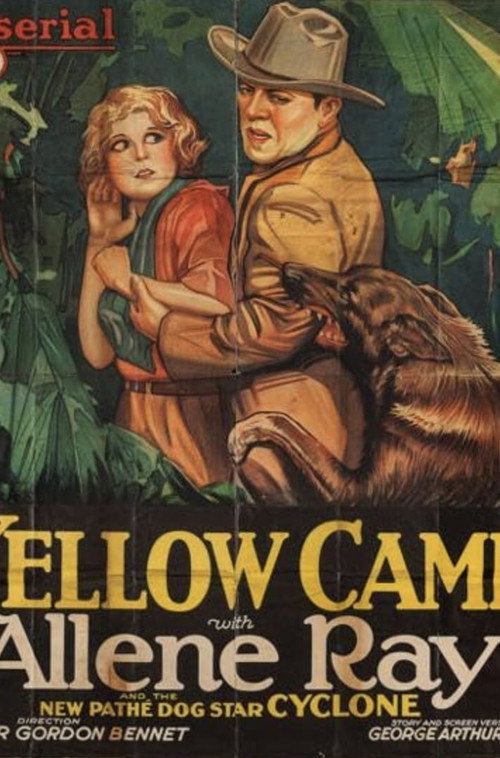 Movie poster for The Yellow Cameo (1928)