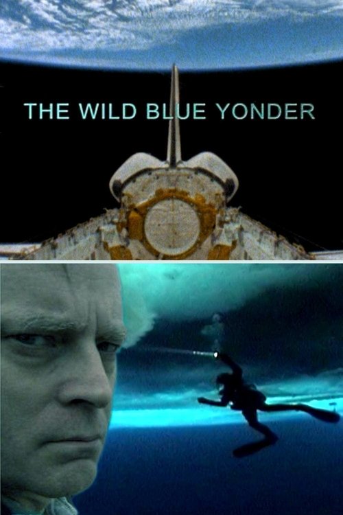 Movie poster for The Wild Blue Yonder (2005)