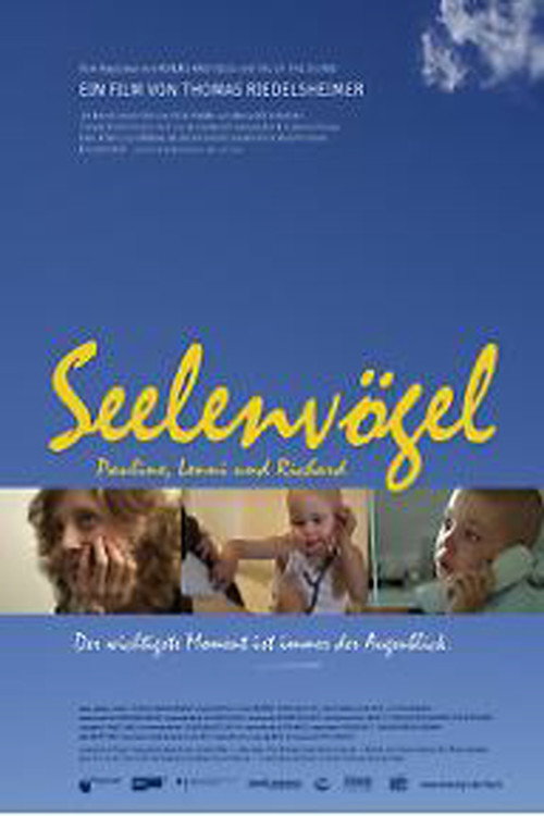 Movie poster for Soul Birds (2009)