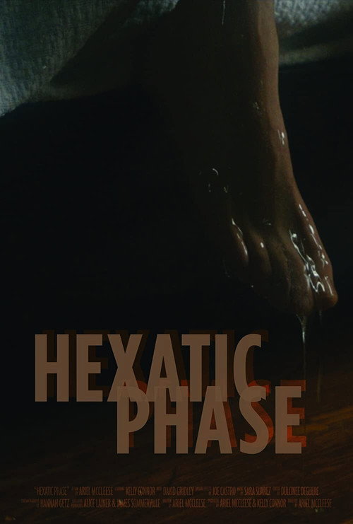 Movie poster for Hexatic Phase (2020)