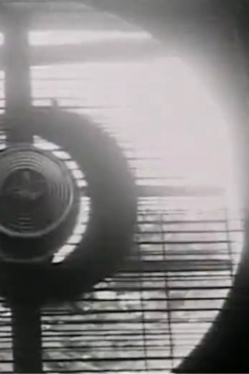 Movie poster for Numen Lumen (1974)