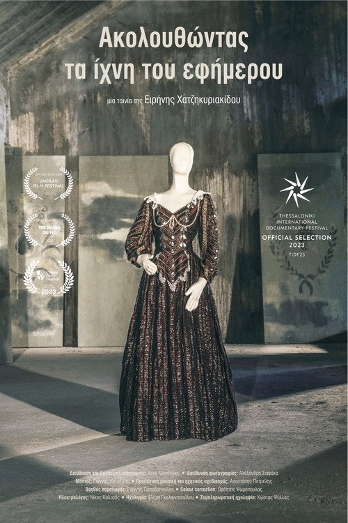Movie poster for Following the Traces of the Εphemeral (2024)