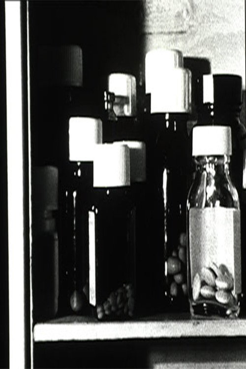 Movie poster for Medicine Box (2004)
