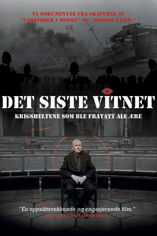 Movie poster for Det siste vitnet (2013)