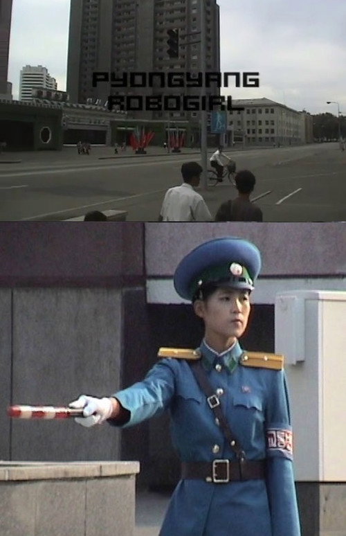 Movie poster for Pyongyang Robogirl (2002)