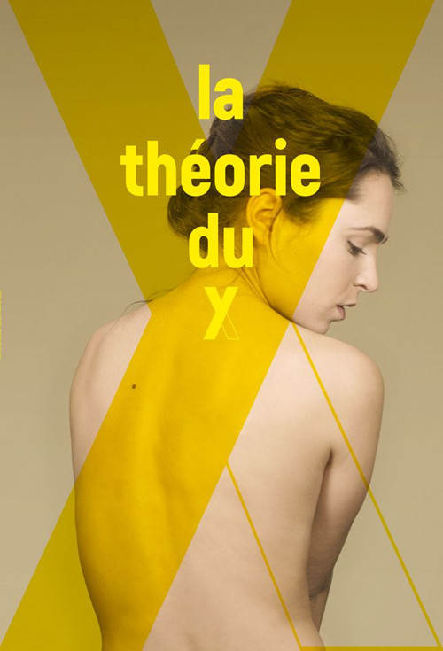 The Theory of Y poster