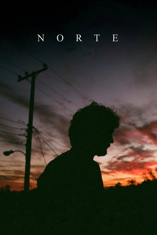 Movie poster for Going North (2022)