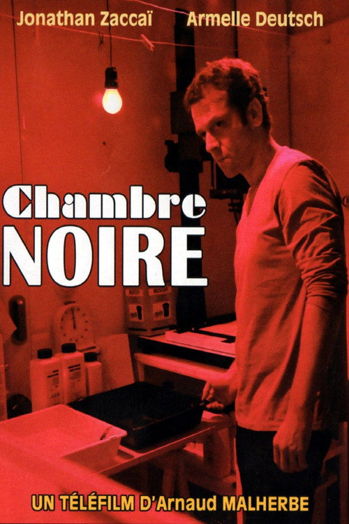 Movie poster for Chambre noire (2013)