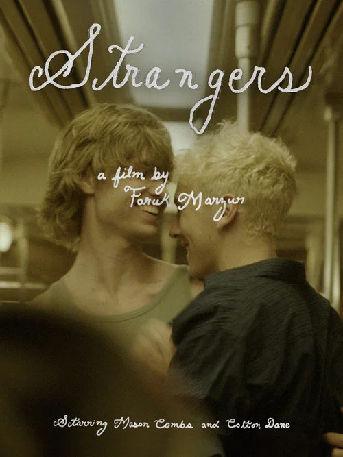 Movie poster for Strangers (2024)