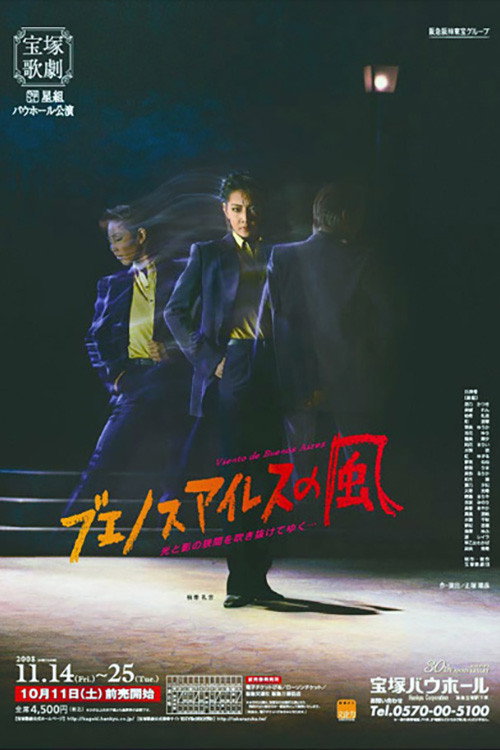 Movie poster for The Wind of Buenos Aires -Blown Between the Light and the Shadow- (2008)