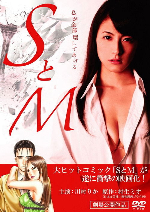 Movie poster for S&M (2010)
