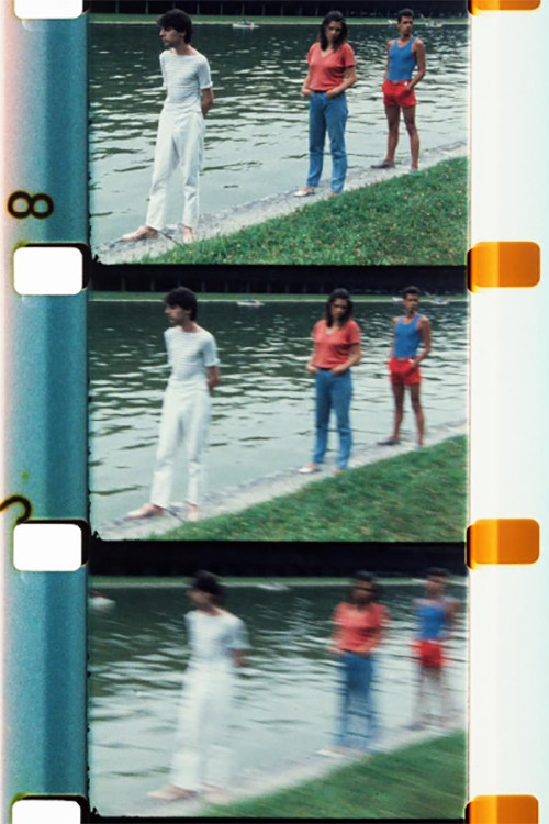Movie poster for Chutes de Feuilles d’été (1983)