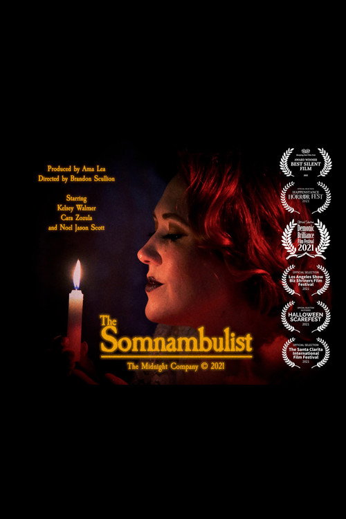 Movie poster for The Somnambulist (2021)