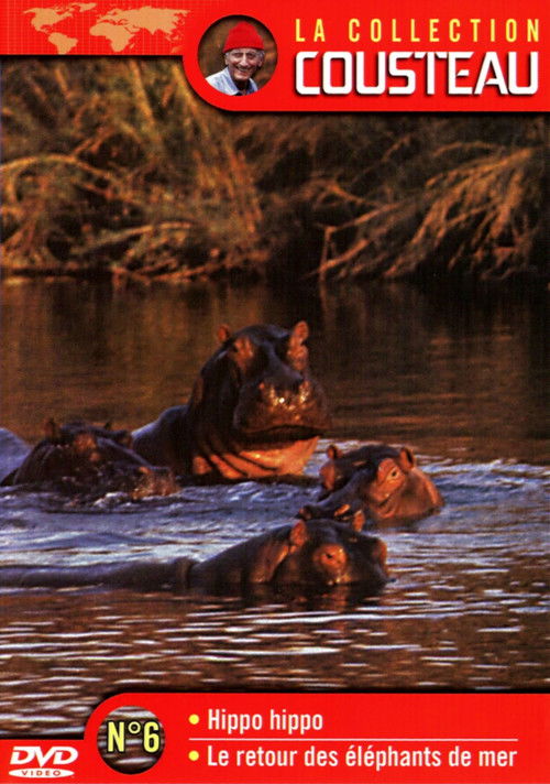 Movie poster for The Cousteau Collection N°6-1 | Hippo, Hippo (1973)