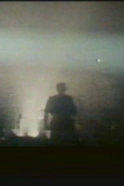 Movie poster for Laibach: The Platform (2003)