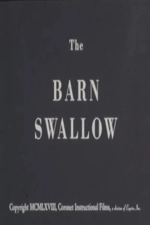 Movie poster for The Barn Swallow (1968)