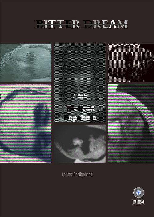 Movie poster for Bitter Dream (2008)