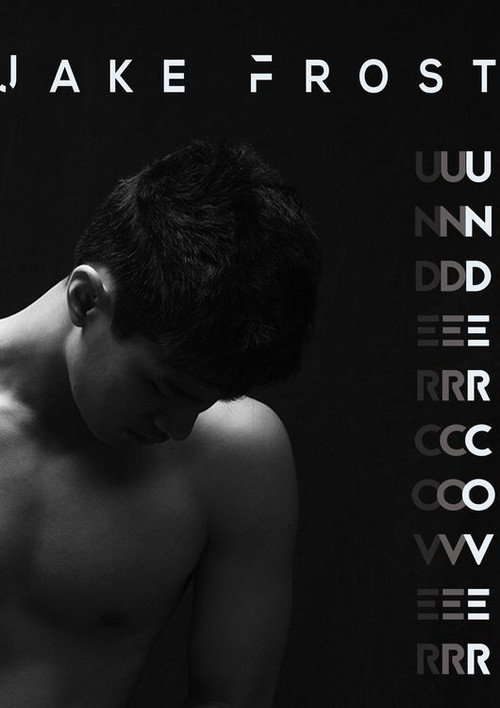 Movie poster for Jake Frost: Undercover (2019)