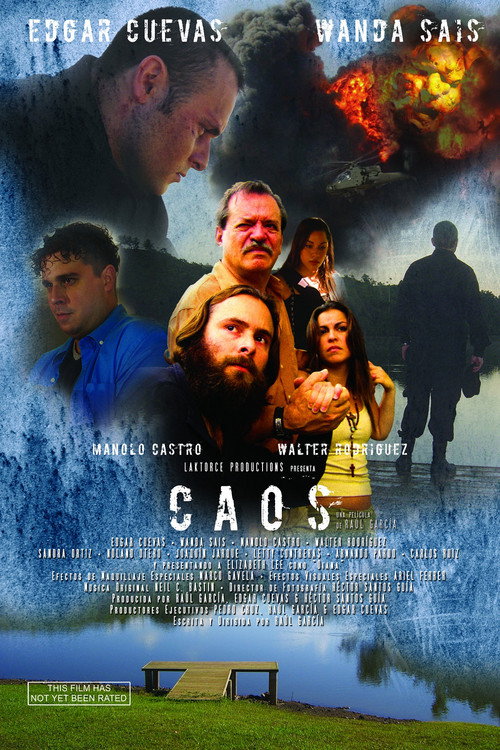 Movie poster for Caos (2010)